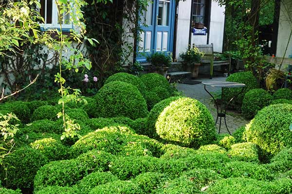Gestaltung mit Buchsbaumkugeln