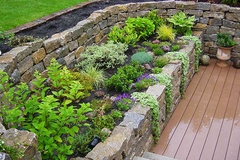 bepflanzte Stufen mit Granitstehlen