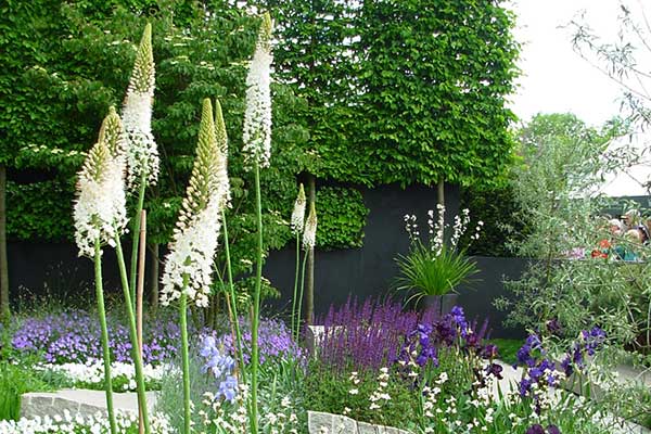 Chelsea Flowershow