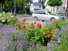 Blick auf den Kreuzungsbereich
