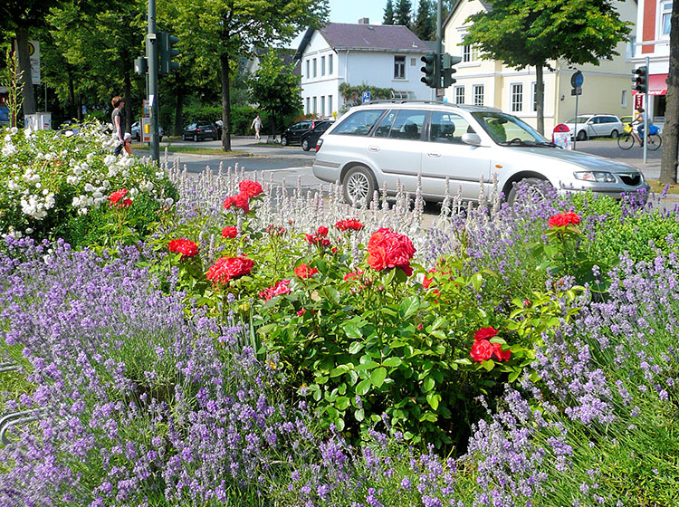 Blick auf den Kreuzungsbereich