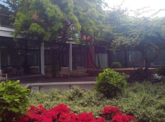 Innenhof Hamburg-Haus