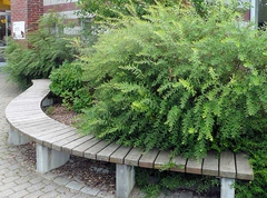 Rundbank als Sammelplatz