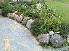 Kräuterbeet zum Ernten