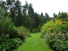 Blickachse zum Teich im hinteren Teil des Gartens
