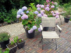 Detail: Stuhl mit Hortensie