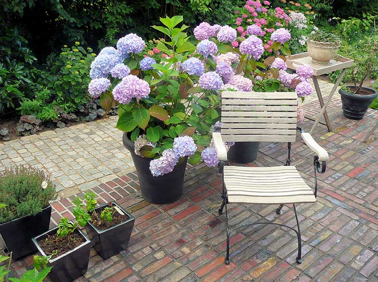 Detail: Stuhl mit Hortensie