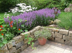 Detail: bepflanzte Trockenmauer