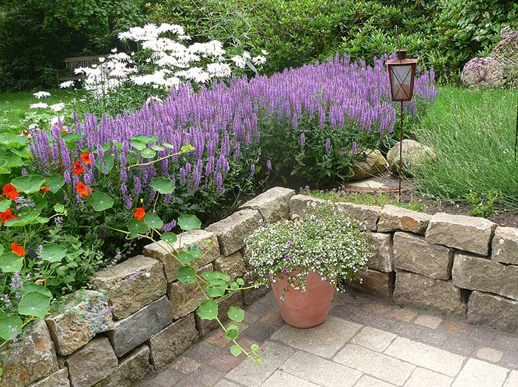 Detail: bepflanzte Trockenmauer